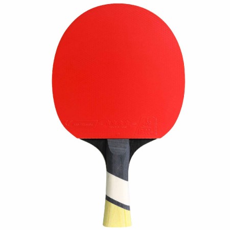 Reket Cornilleau Perform 600